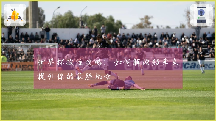 世界杯投注攻略：如何解读赔率来提升你的获胜机会