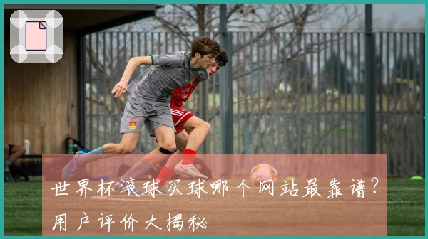 世界杯滚球买球哪个网站最靠谱？用户评价大揭秘
