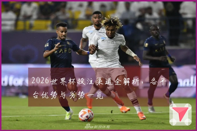 2026世界杯投注渠道全解析，各平台优势与劣势一览