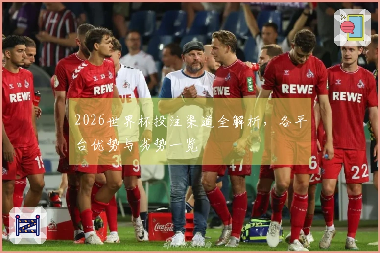 2026世界杯投注渠道全解析，各平台优势与劣势一览