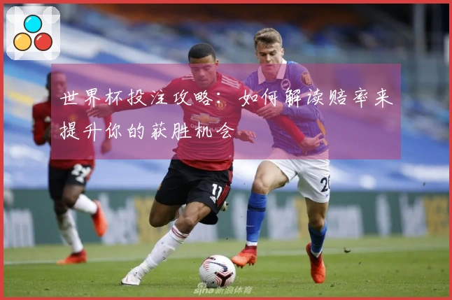 世界杯投注攻略：如何解读赔率来提升你的获胜机会