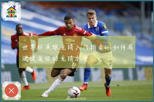 世界杯滚球竞猜入门指南：如何有效提高你的竞猜水平